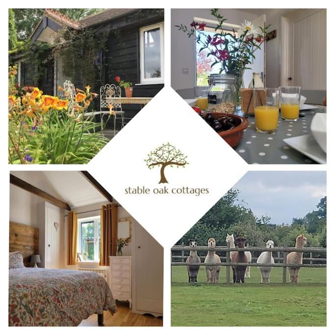 Harrietsham Willow Cottage In Idyllic Location מראה חיצוני תמונה