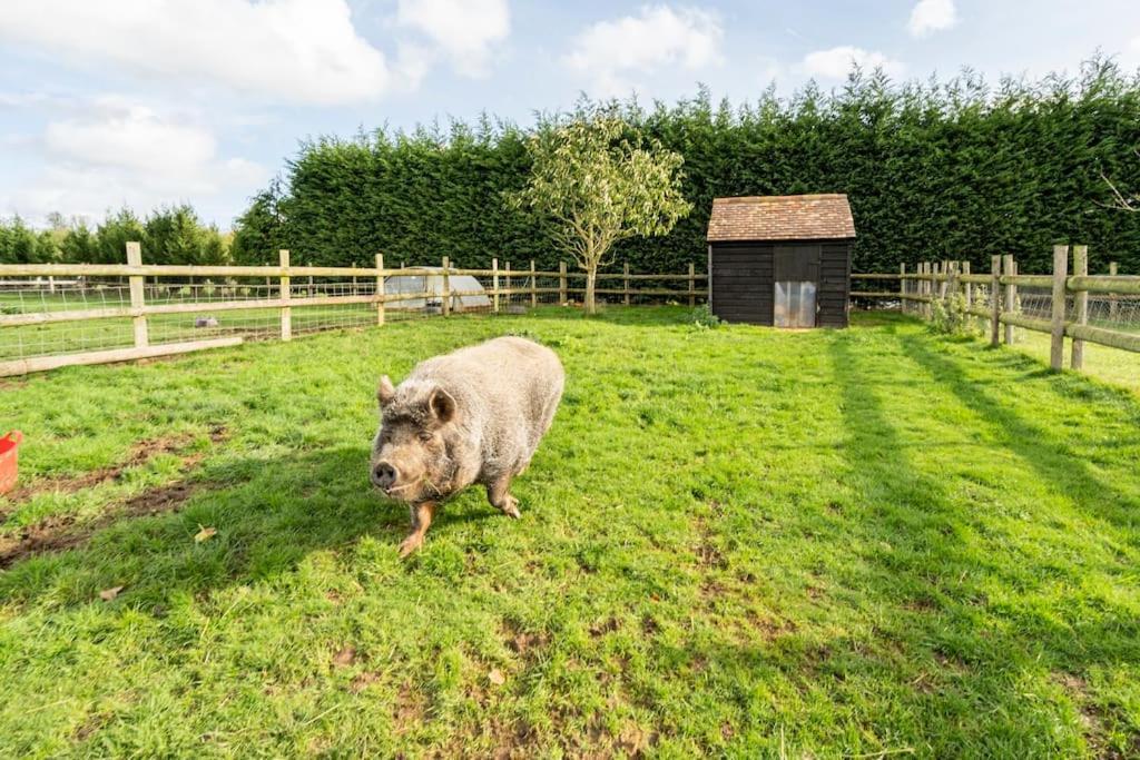 Harrietsham Willow Cottage In Idyllic Location מראה חיצוני תמונה