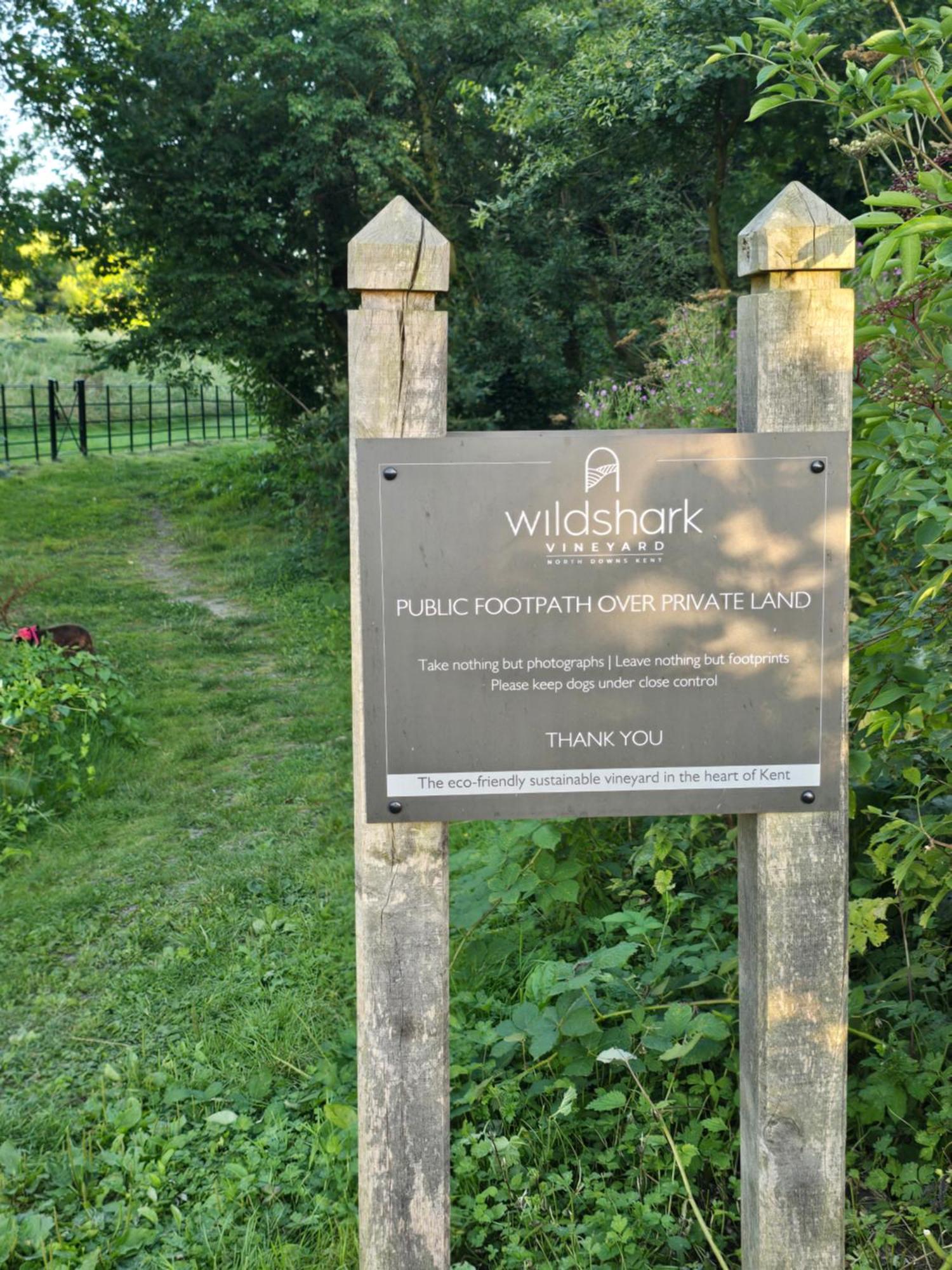 Harrietsham Willow Cottage In Idyllic Location מראה חיצוני תמונה